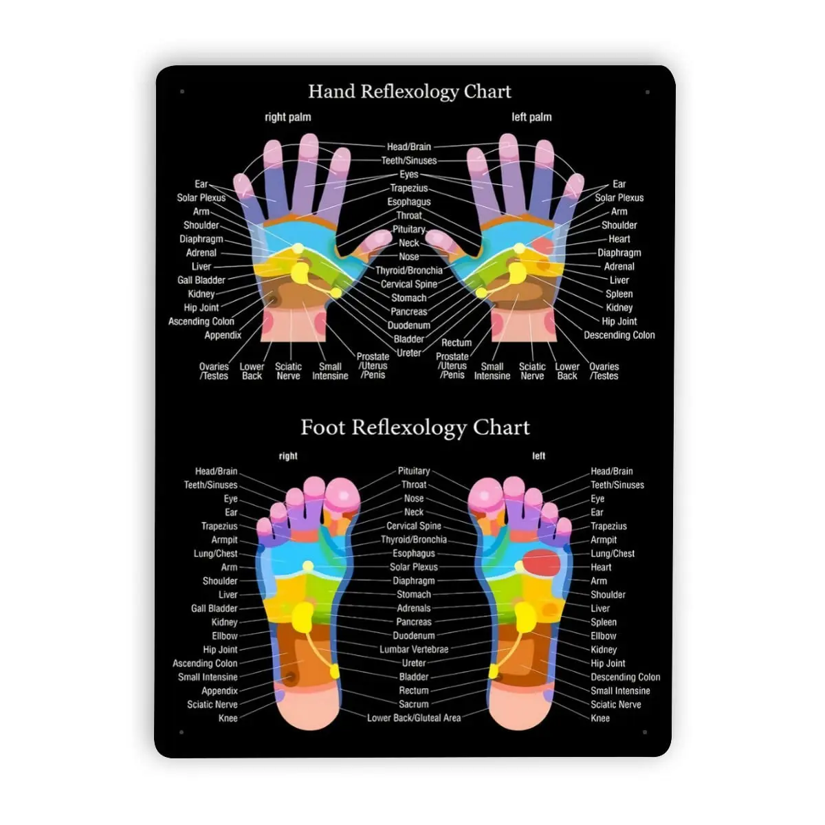 Metal ICRAEZY Hand Reflexology Chart Metal Tin Sign Vintage Retro Sign Decor For House Bar Pub Plaque Poster Wall Art Sign12x16i wall sticker japanese style metal sign anime wall art tin plaque vintage metal poster deal with the devil tinplate for bar decor