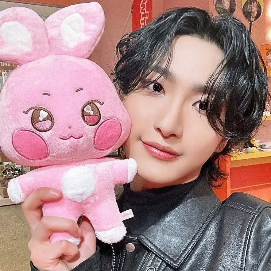 

Плюшевые животные ATEEZ Aniteez Kawaii, плюшевые игрушки, корейский Декор для комнаты