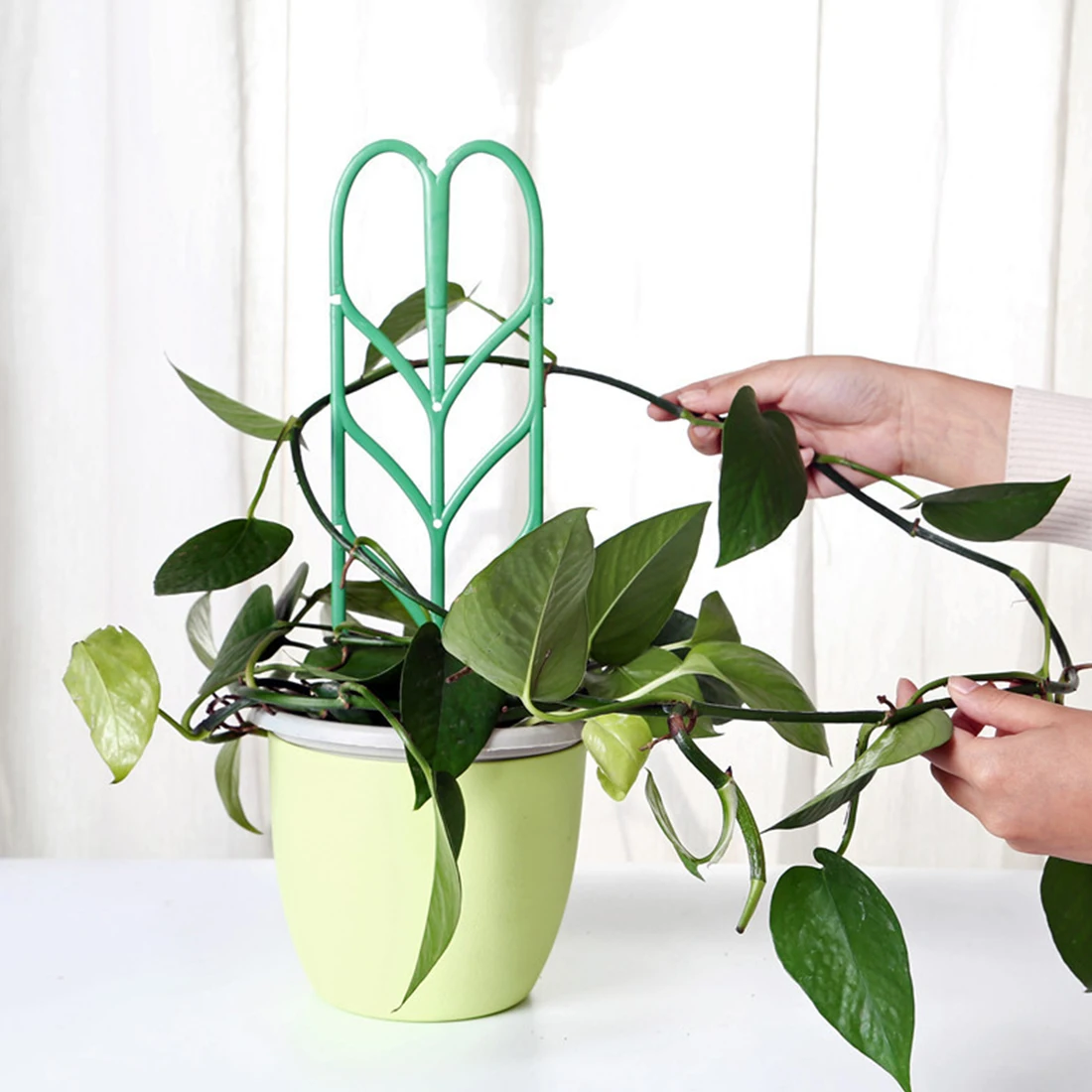 

Plastic Plant Climbing Frame Vine Climbing Frame Indoor Flower Plant Vine Climbing Bracket Plant Support Frame Plant Accessories
