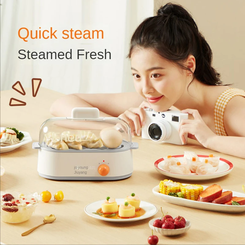 Mini electric steamer household multifunctional stainless steel small capacity single layer breakfast machine