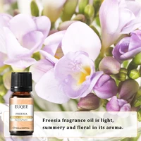 EUQEE 10ml Fragrance Oil Mango Strawberry Cherry Perfume Essential Oils 2 EUQEE 10ml Fragrance Oil Mango Strawberry Cherry Perfume Essential Oils For Relax Body Sea Breeze