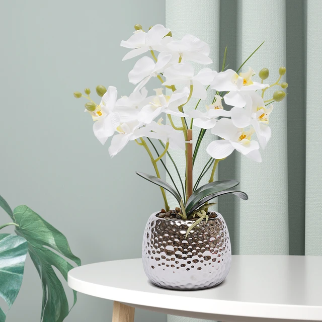 39cm orchidea artificiale fiori artificiali pianta artificiale Set piante con  vaso DHL - AliExpress