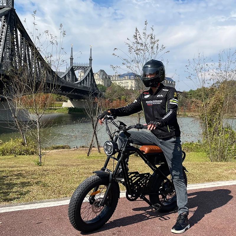 

Tourwheel EU Warehouse Retro Charging Ebik Wholesale Electric Hybrid Bicycle Powered City Travel E Fat Tire Bike