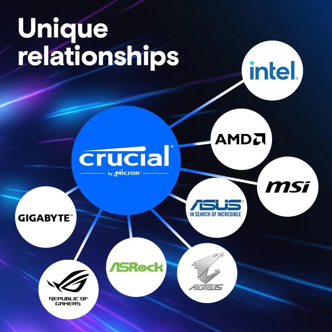 Crucial DDR5 Pro RAM 32GB(2개 16GB) 16GB 6400MHz 6000MHz 데스크탑 메모리 UDIMM 288핀 13세대 인텔 코어 및 AMD Ryzen 7000용