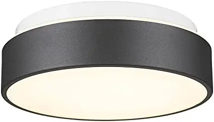 

Close to Ceiling Light Fixture, 11 inch Frosted Glass Shade Flush Mount Ceiling Light Fixture in Antique Brass Finish, E26 Socke