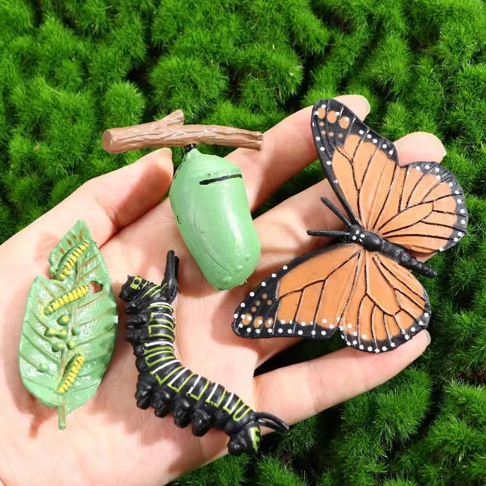 Simulation Small Insect Animals Growth Life Cycle Model Bee Spider Frog Butterfly Figurine Cute Kids Baby Early Educational Toys 4