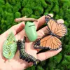 Simulation Small Insect Animals Growth Life Cycle Model Bee Spider Frog Butterfly Figurine Cute Kids Baby Early Educational Toys 4