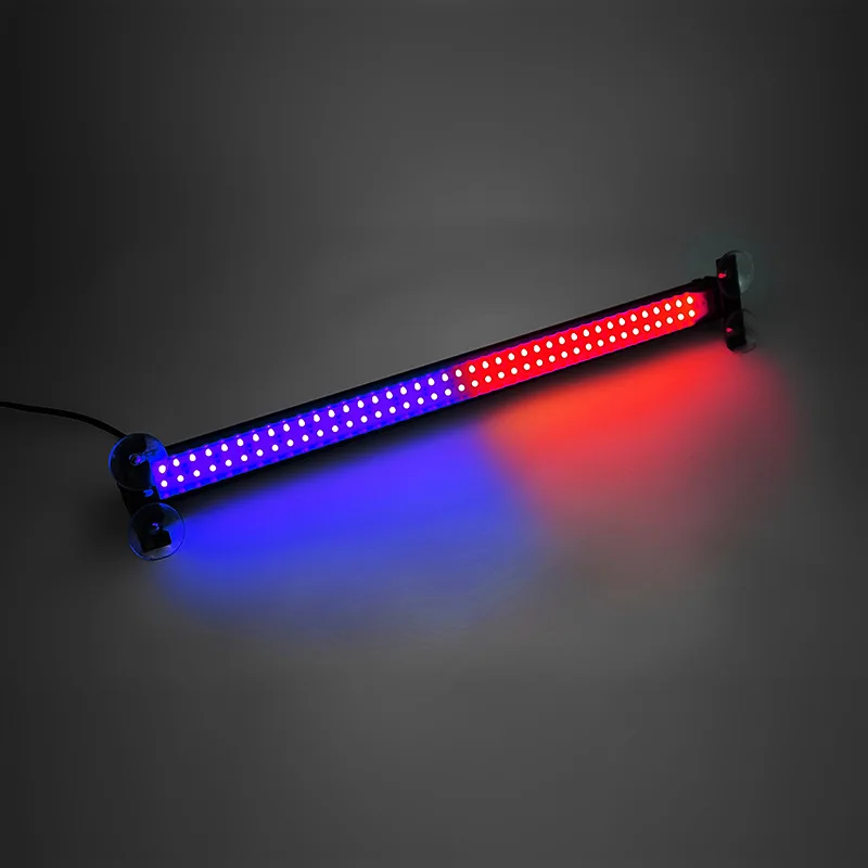 Red and Blue