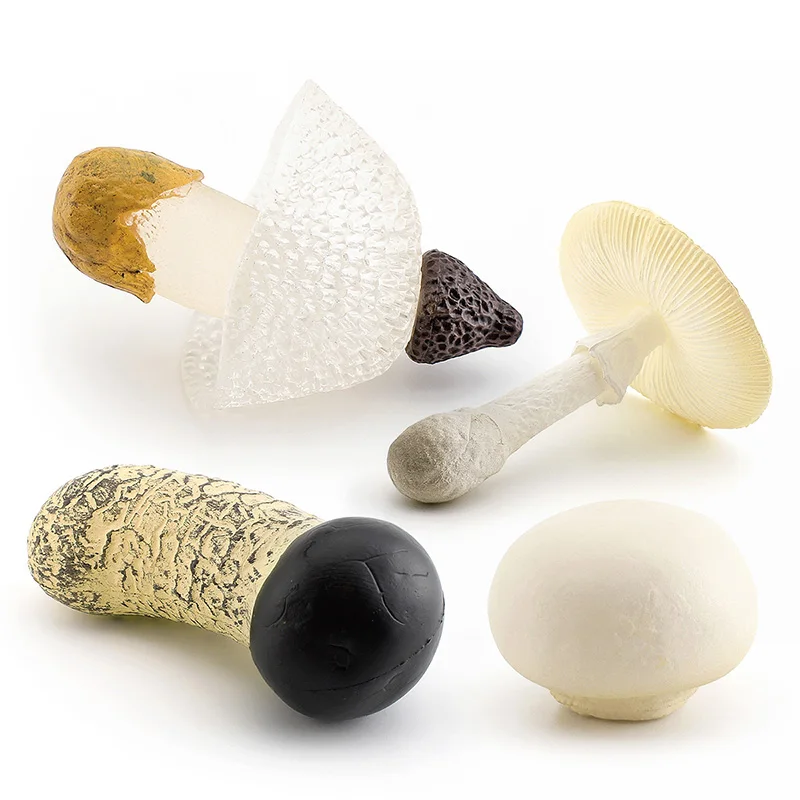Simulation mushroom set Shiitake mushroom true Ji mushroom Slime mushroom Matsutake poison rope umbrella twin mushroom model toy 5