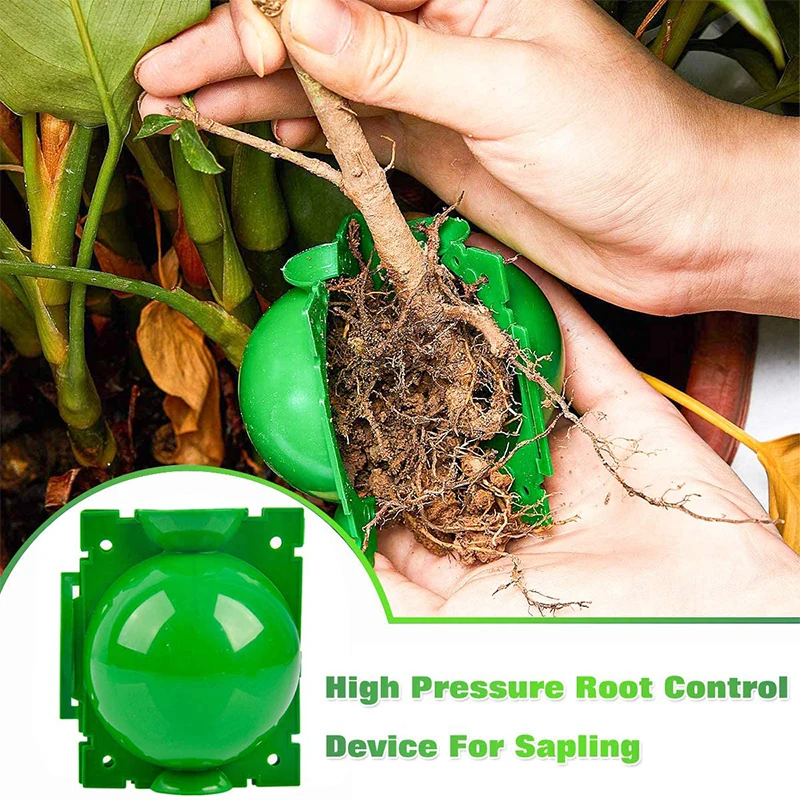 10/20Pcs Rooting Ball Plant Grafting Root Box 5/8CM Root Visible High Pressure Ball Breeding Growing Device For Garden Orchard