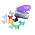 B butterfly