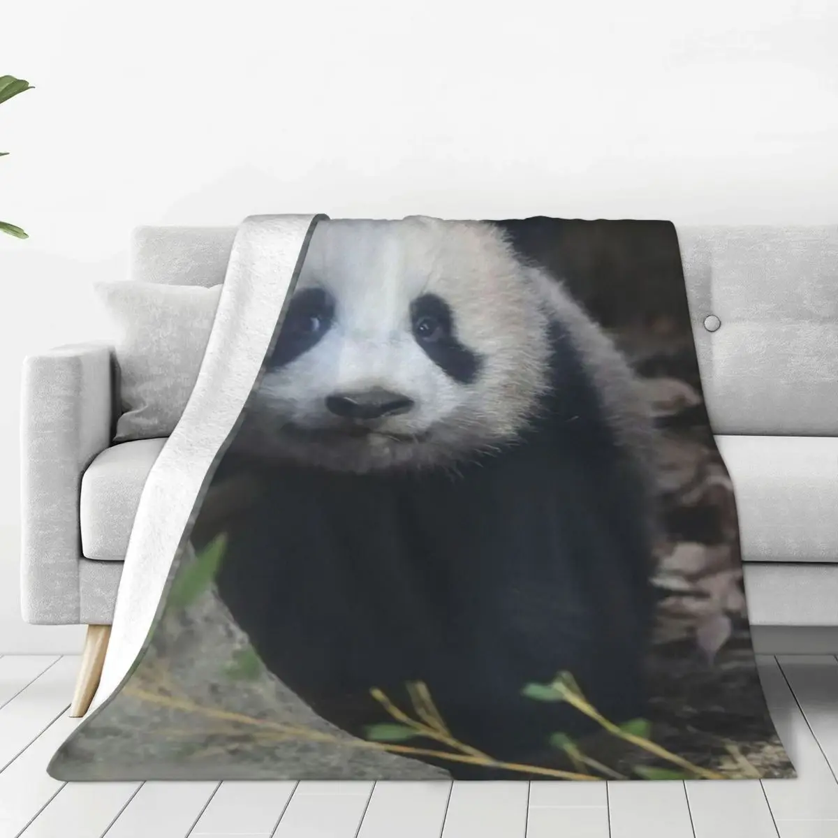 

Japanese Xiangxiang Panda Blanket Super Warm Anti-pilling Flannel Throw Blankets for Luxury Bedding Sofa