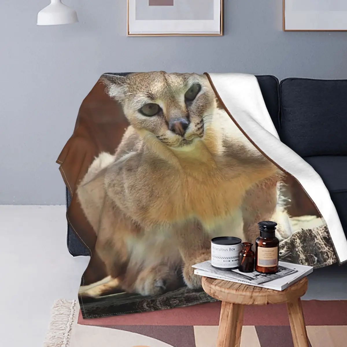 

Caracal Cat Blankets Fleece Printed Floppa Animal Breathable Ultra-Soft Throw Blanket for Sofa Travel Plush Thin Quilt