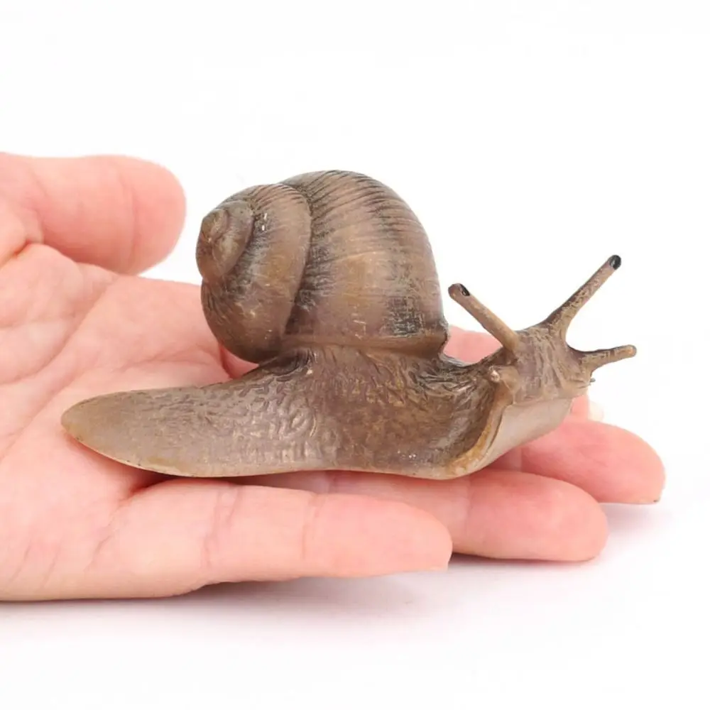Delicate Solid Micro Landscape Children's Cognitive Education Snail Statue Simulation Insect Snail Model Garden Decoration