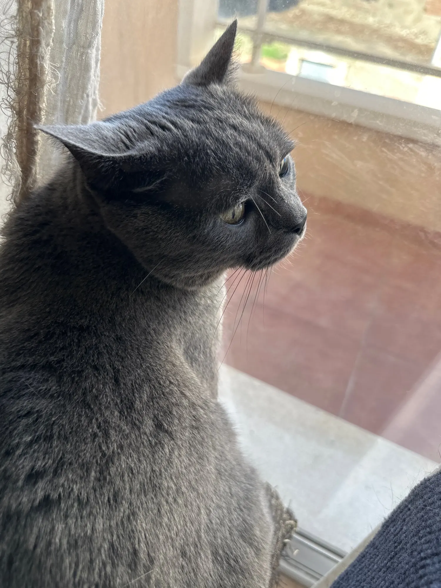 Letter It Doesn't Give Me Life Print Ladies T-shirt Casual Basics Ocollar White Shirt Short Sleeve Ladies T-shirt Drop Ship photo review