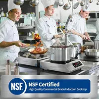 1800W NSF Certified Commercial Range Powerful Countertop Burner Pro Chef Professional 2
