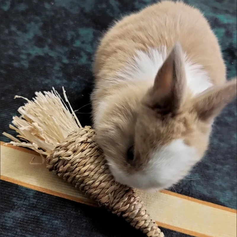Edible Vegetable Shaped Pet Chew Toys Plant Weaving Radish for Small Animals Rabbit Bunnies Hamster Toy Pet Accessories Supplies pet toys pet chew toys hamster toy