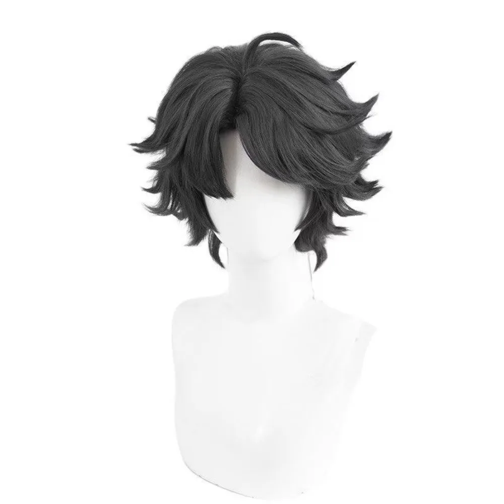 Harlequin Wig only