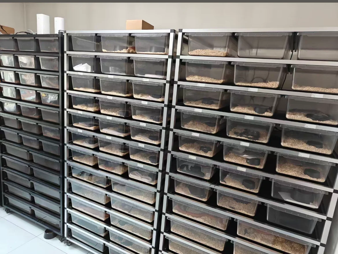 ペット用品爬虫類ボールパイソン水槽ケージディスプレイラックシステム