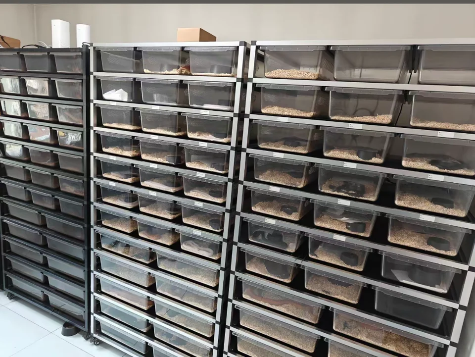 ペット用品爬虫類ボールパイソン水槽ケージディスプレイラックシステム