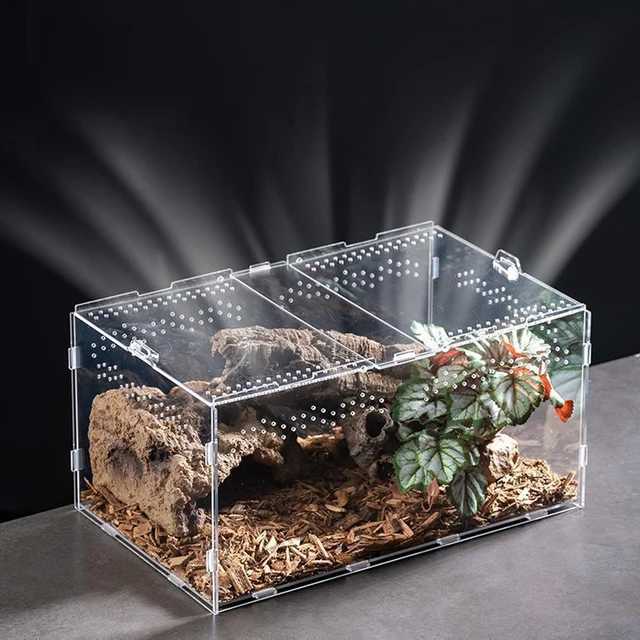 Acrylic Transparent Reptile Terrarium Breeding Box Turtle Cage Nano Arboreal Tarantula Enclosure Dearded Dragon Reptiles Habitat Acrylic Transparent Reptile Terrarium Breeding Box Turtle Cage Nano Arboreal Tarantula Enclosure Dearded Dragon Reptiles Habitat