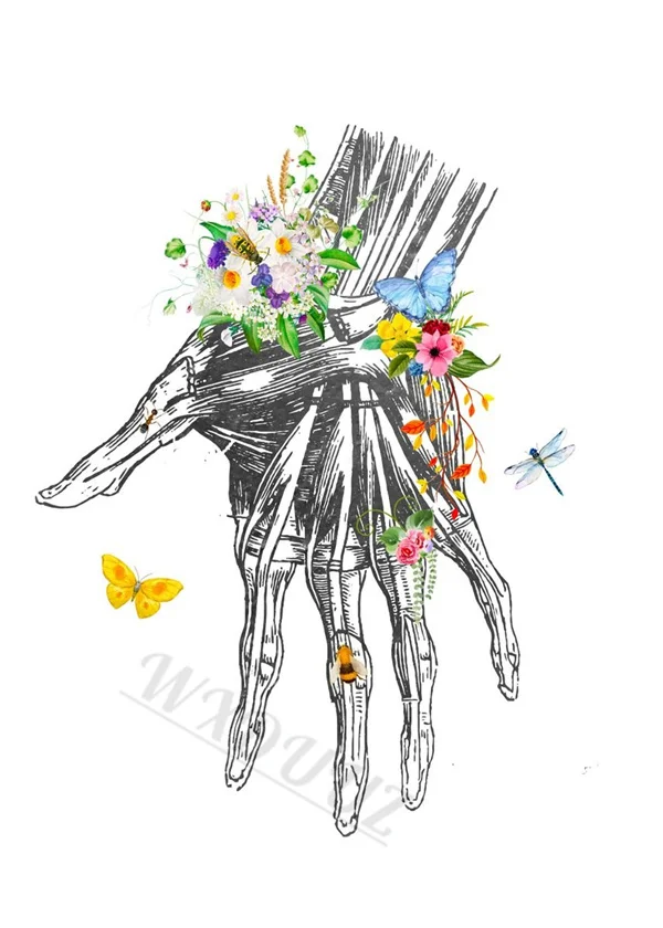 Butterflies Aesthetics Nordic Style Anatomy Art Canvas Print Posters for Home and Hospital Decor