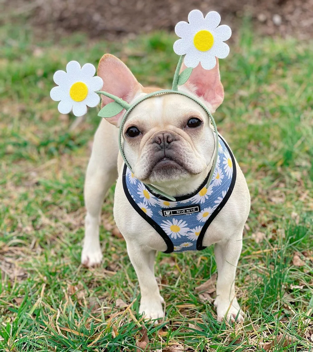 155356541_1179676139116605_615