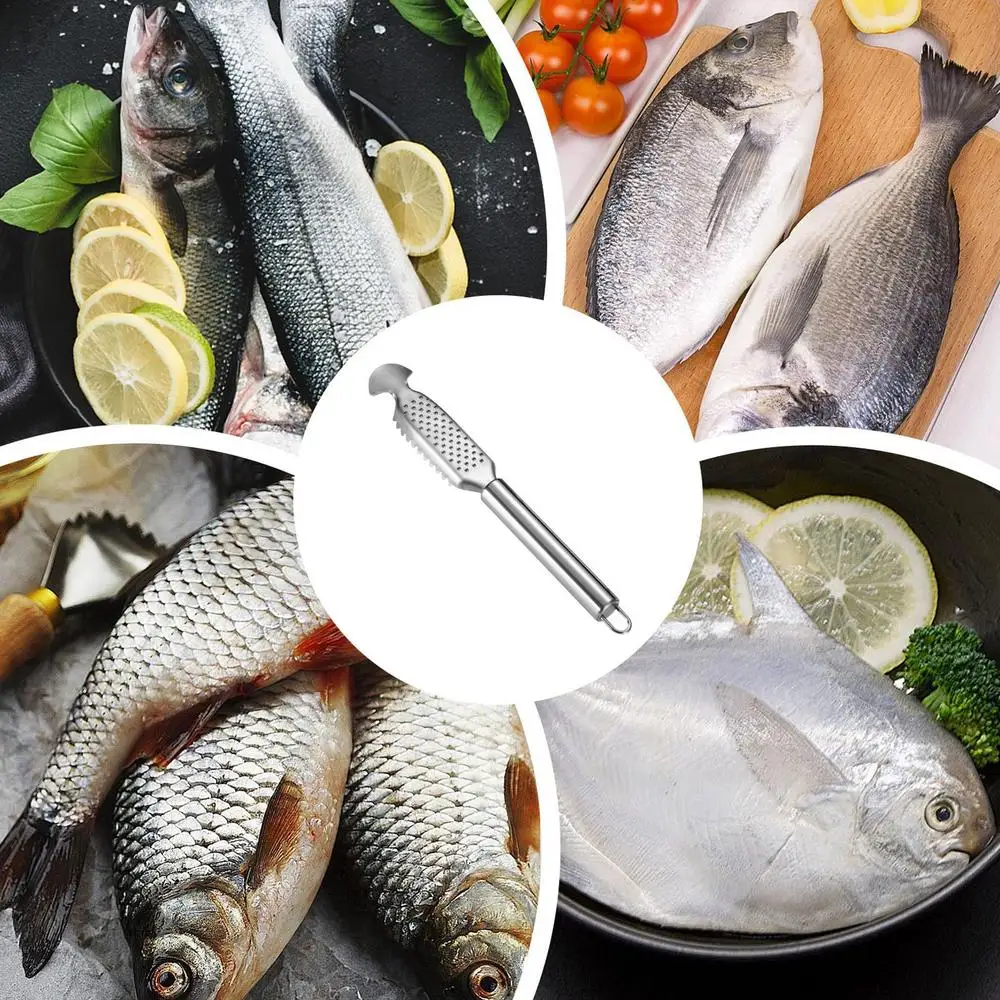 Description Picture 5 of itemFish Scale Remover Stainless Steel Fish Scraper With Ginger Grater Design Fish Cleaning Tool For Kitchen Seafood Markets