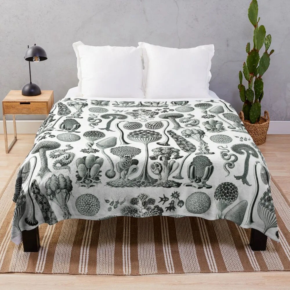 

Ernst Haeckel - Mycetozoa Throw Blanket Moving Blanket valentine gift ideas