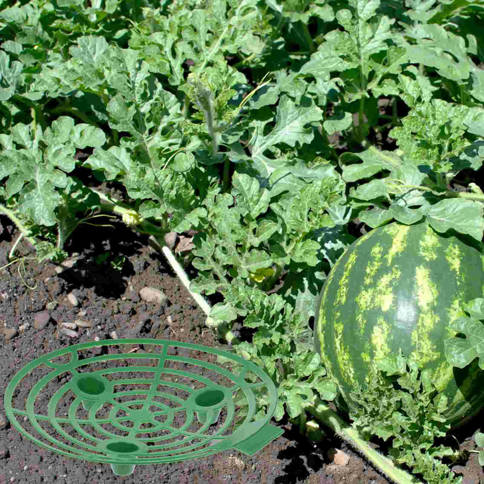 

10 Pcs Watermelon Stand Trellis Strawberry Supports Growing Rack Planter Planting Plastic Holder Strawberries