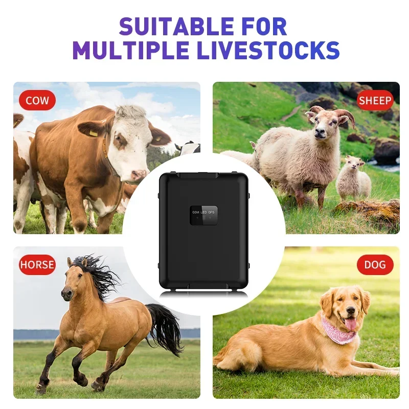 RF-V55 4G LTE GPS Tracker Sheep Cow Cattle Horse GPS Tracking Device Locator 30000mAh Long Standby Time IP67 Waterproof