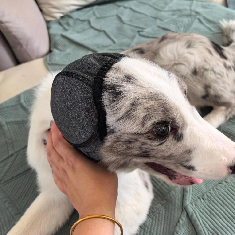 Dog Noise Reduction Muffs 4