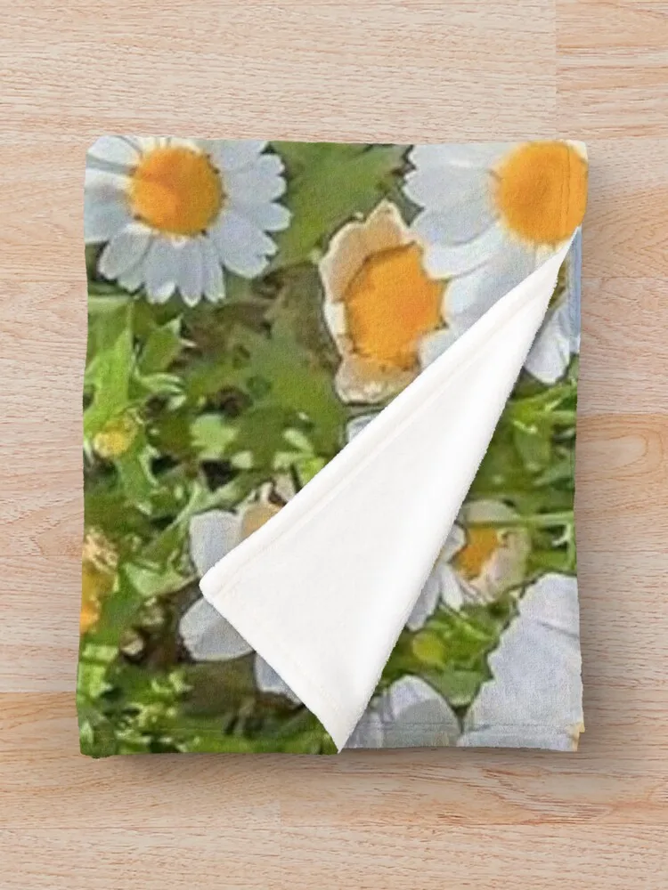 ������ �ʵ� ������ ���, �����̳� ���, �ö��� ���� ħ��, ���� ���