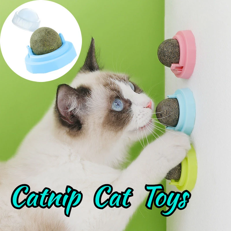 

Catnip Balls Cat Toys With Lids Rotatable Paste Anywhere Interactive Edible catnip Toy Lick Teeth Cleaning Dental Pet Products