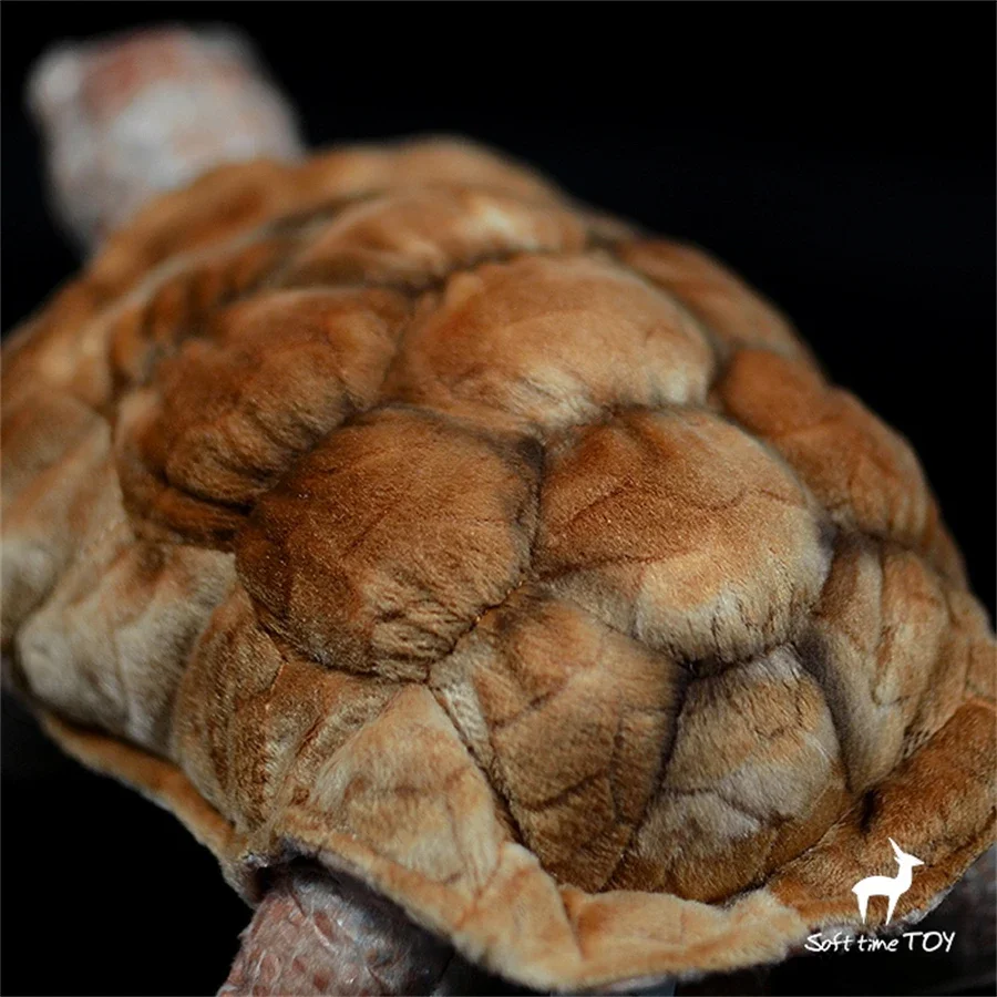 Galapagos Tortoise High Fidelity Anime Cute Plushie Turtles Plush Toys Lifelike Animals Simulation Stuffed Doll Kawai Toy Gifts 6