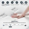 Queen Size Mattress, Upgrade Strengthen Medium 12 Inch Hybrid Queen Mattress in A Box, Mattress Queen Size With High Density 3
