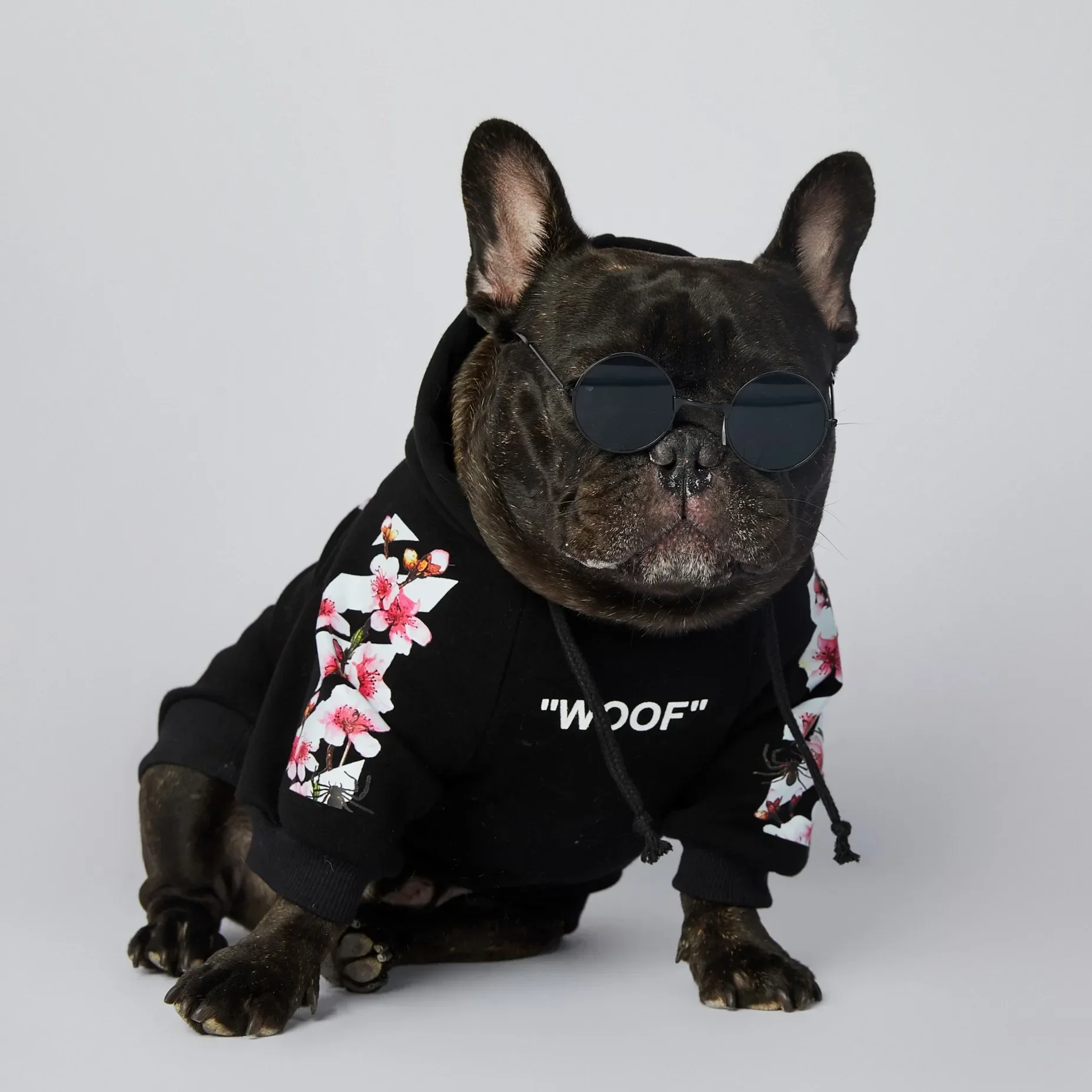 Pet Clothes NONOR Dog Clothes WOOF Fashion Sakura Dog Jacket Pet Hoodies Winter French Bulldog Pugs Sports Jacket M-4XL