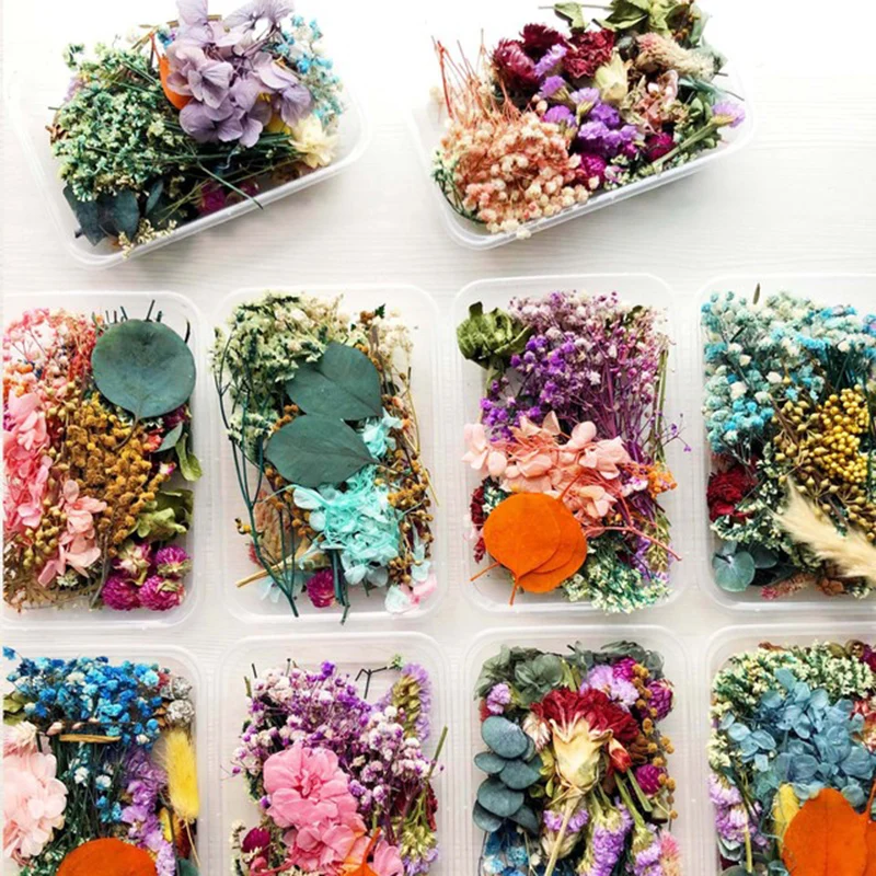 Dried Flowers Package Mixed Eternal Flowers And Foliage For Diy