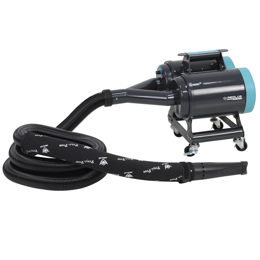 

Super Detail Air Blower with two motors