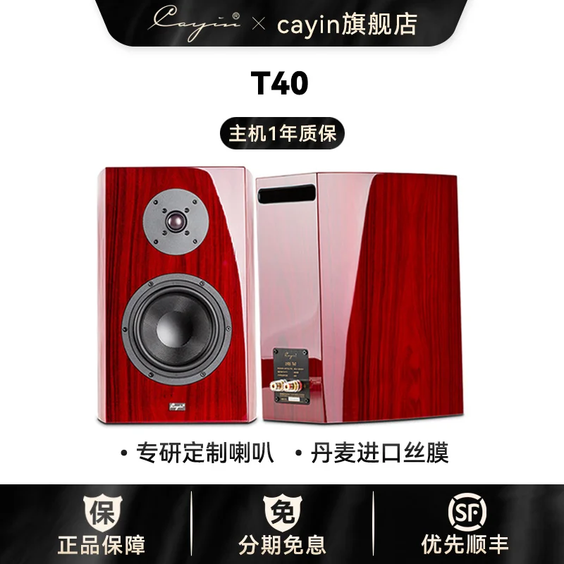 

Высококачественный Hi-Fi динамик Cayin Kayinsback T40 Fever
