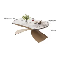 Tables basses modernes nordiques, esthétiques de qualité supérieure, multifonctions, convertibles, tendance, simples, meubles Basse pour la maison 2