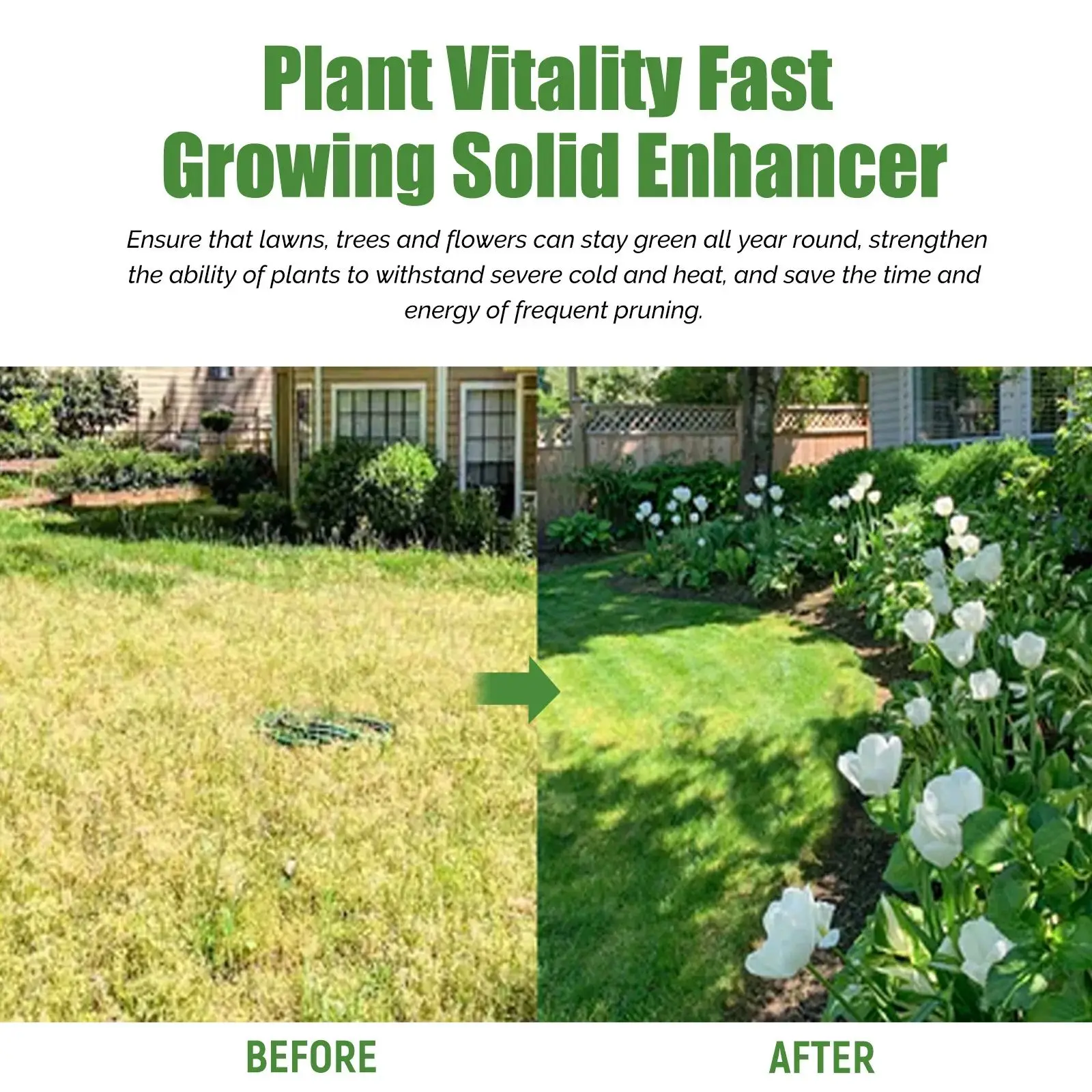 Plant Nutrient Plant Fertilizer Flower Potted Lawn Green Leaf Rooting Growth Nutrient