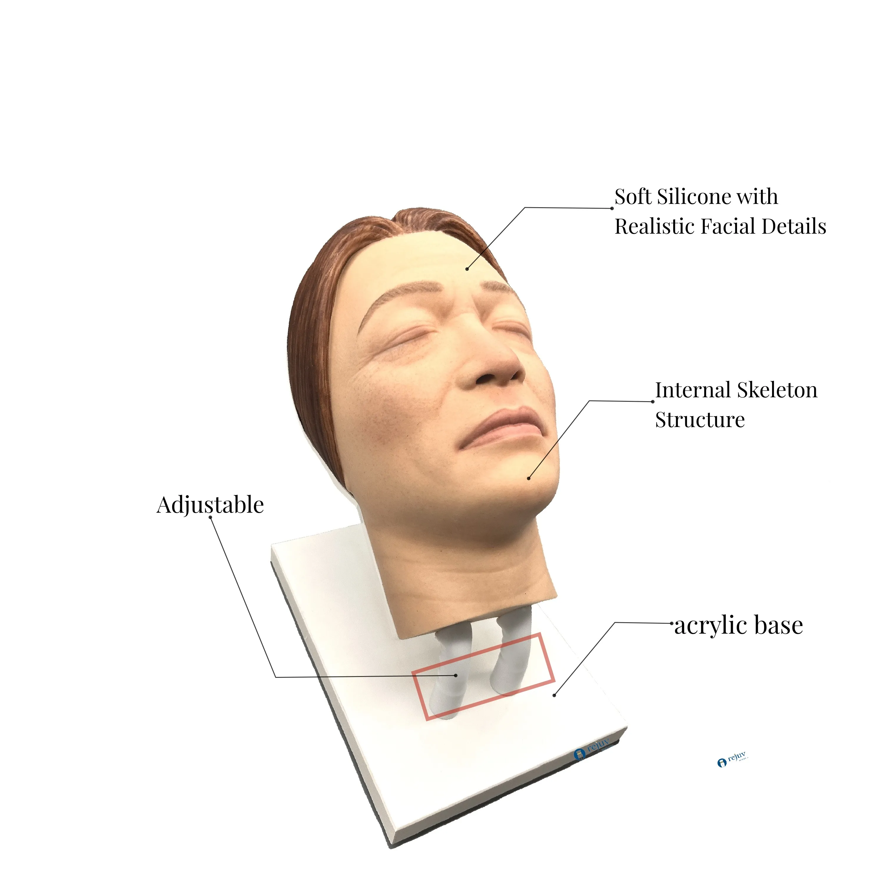 Cosmetic Injection Model, Silicone Female Face Mannequin for Injection Training Aesthetics Botox Dermal Filler Courses 5