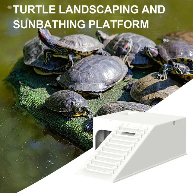 Piattaforma Per Tartarughe In Acrilico Trasparente - Rampa Da Basking Per Acquario Con Base Antiscivolo