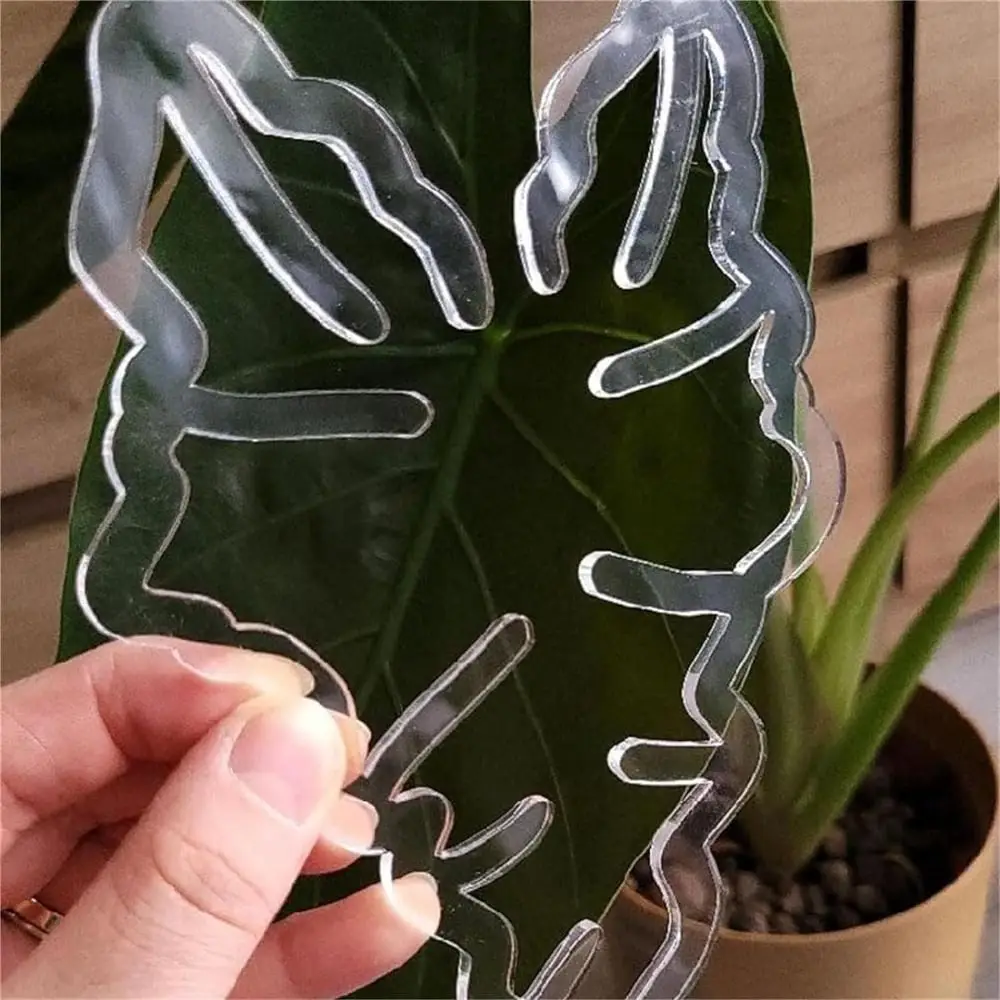 Plant Stem Support Reusable Clear Plastic Leaf Plant Support Indoor And Outdoor Wide Range Plants Flowers Fixed Bracket