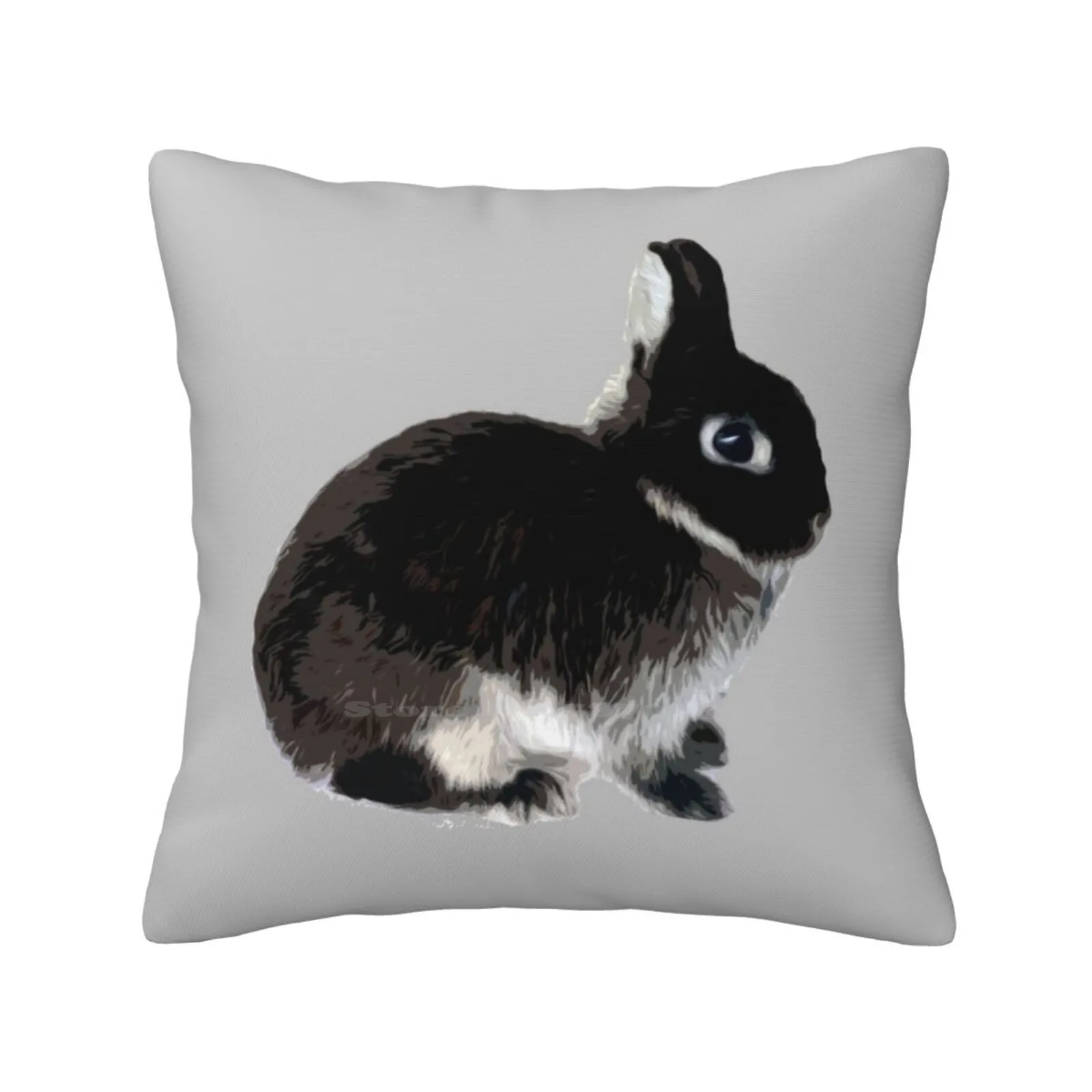 

Black Otter Netherland Dwarf Rabbit Funny Cute Decor Square Pillowcase Black Otter Netherland Dwarf Rabbit Black Otter Bunnies