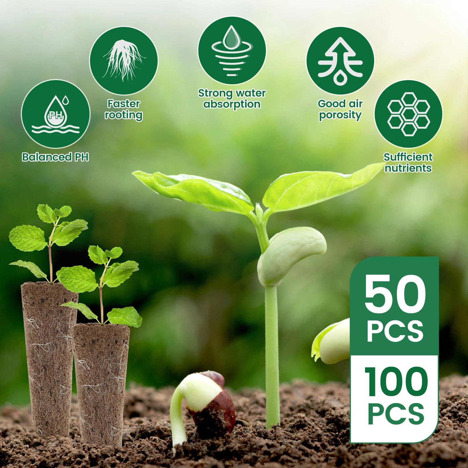 Hydroponic Seed Grow Sponges Kit with Plant Labels
