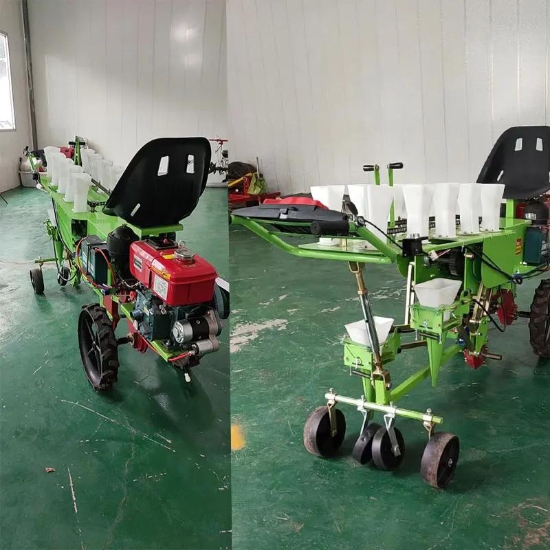 Vegetable Planter for Gambian Farmers