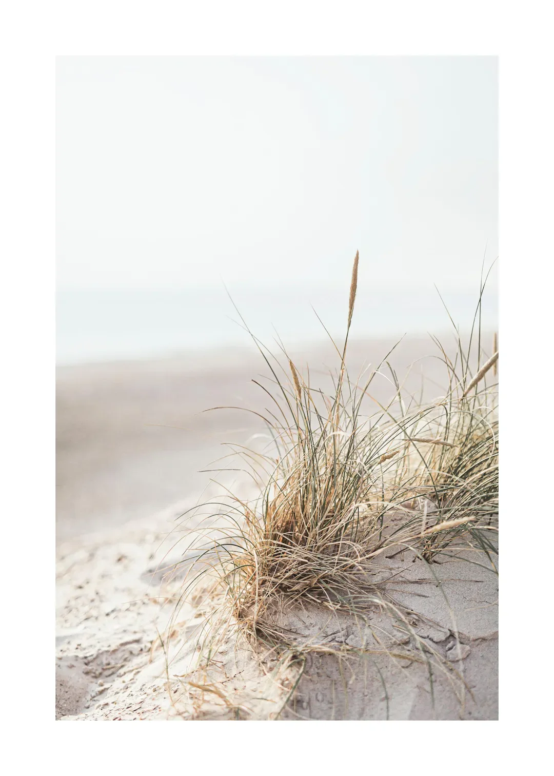 Tropical Blue Sea and White Sand Beach Canvas Wall Art