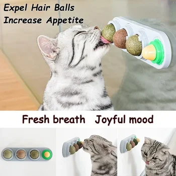 Rotating Catnip Wall Toy Ball 5